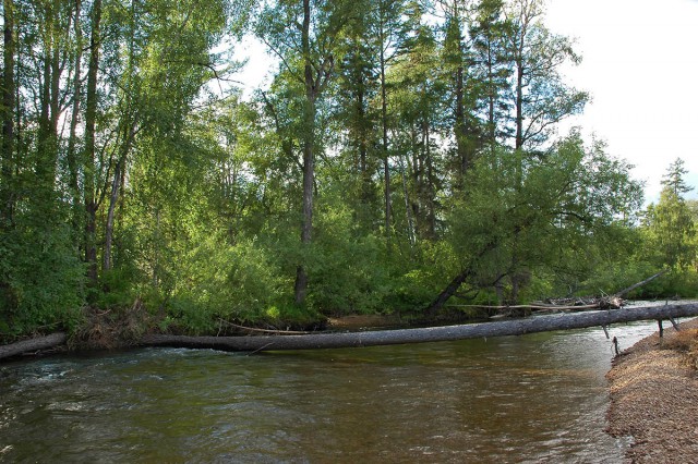 Деревенская Америка