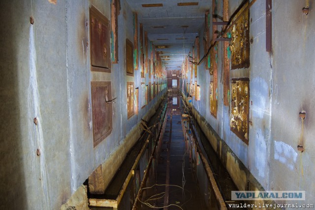 Прогулка по Воронежской АСТ