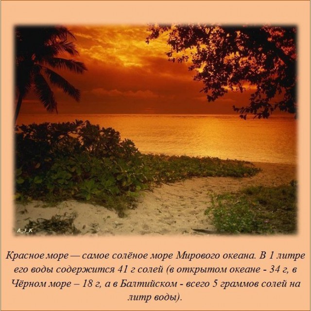 20 фактов обо всем