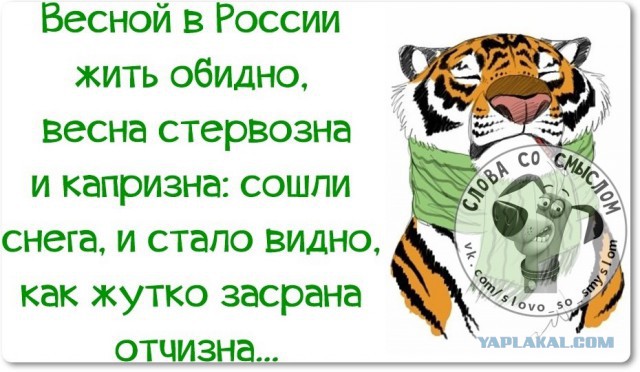 Веселые жизненные наблюдения из Вредного журнала