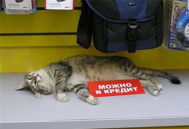 Картинки из инета