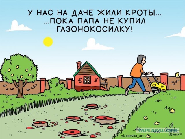 Как поймать крота