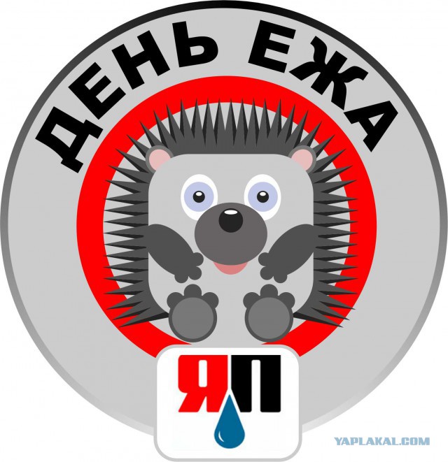 День Ежа