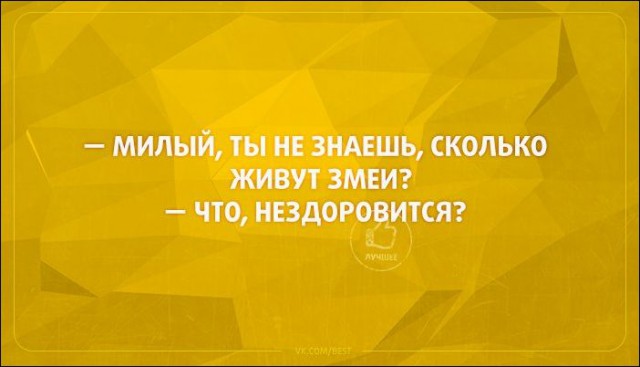 Смешные комментарии 21.02.2016