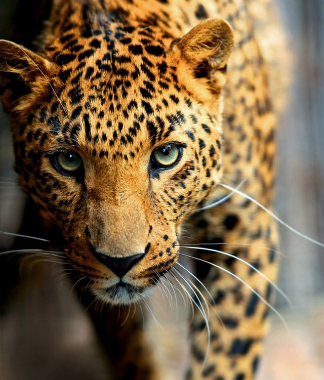 Подборка картинок 02.03.16