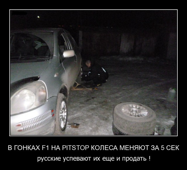 Субботняя подборочка картинок