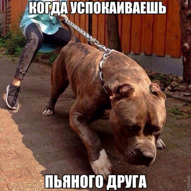 Подборка картинок