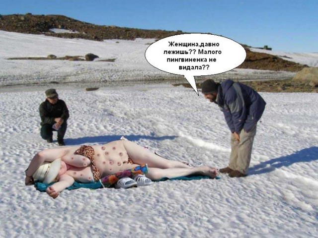 Фотожаба: Полярники окружают!