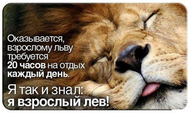 Смешные комментарии из социальных сетей 27.01.2017