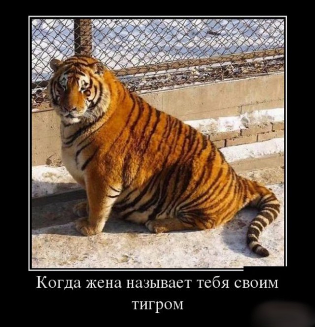 Картиночек на пятничку!