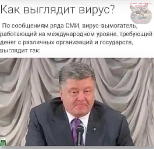 Смешные комментарии из социальных сетей 19.05.2017