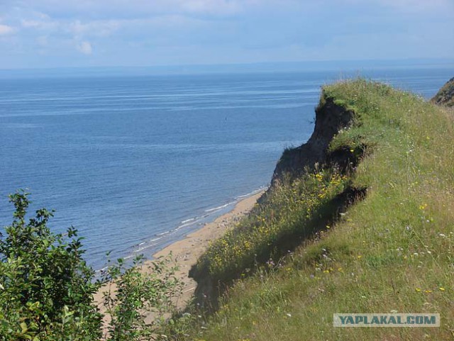 Не попал на море в этом году? Отведи душу, посмотри этот пост!