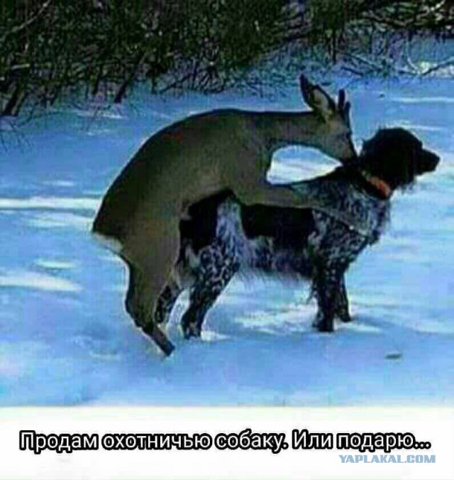 150 картинки для поднятия настроения!
