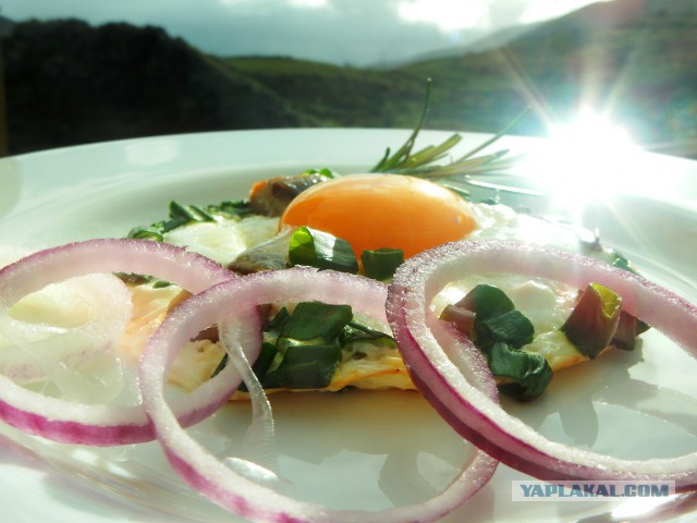 Новогодний завтрак гурмана