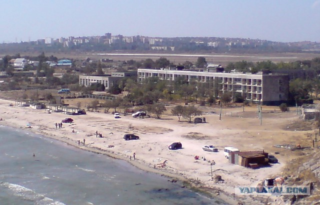 Победа южной природы: прогулка по заросшему пионерскому лагерю в Крыму