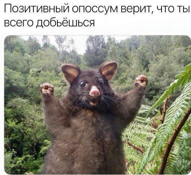 Прикольные картинки обо всём