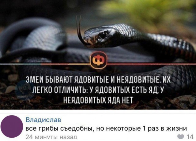 Глазки от работы отрывайте, на картинки повтыкайте!