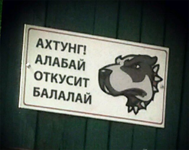 Надписи от тех, кто точно знает, как приковать наше внимание