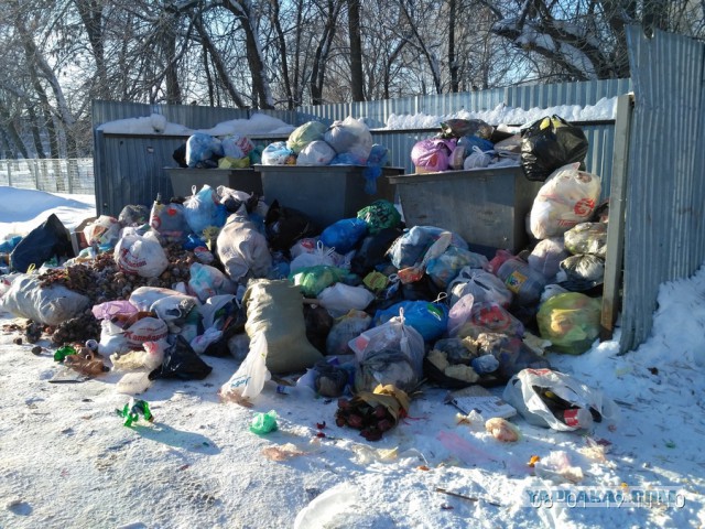 «Мусорная реформа» в России стартовала с коллапса