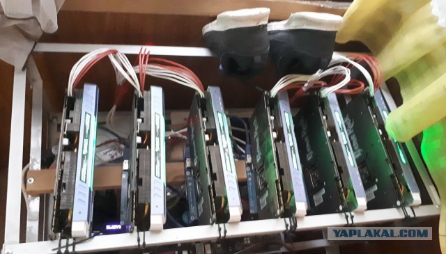 Биток растет