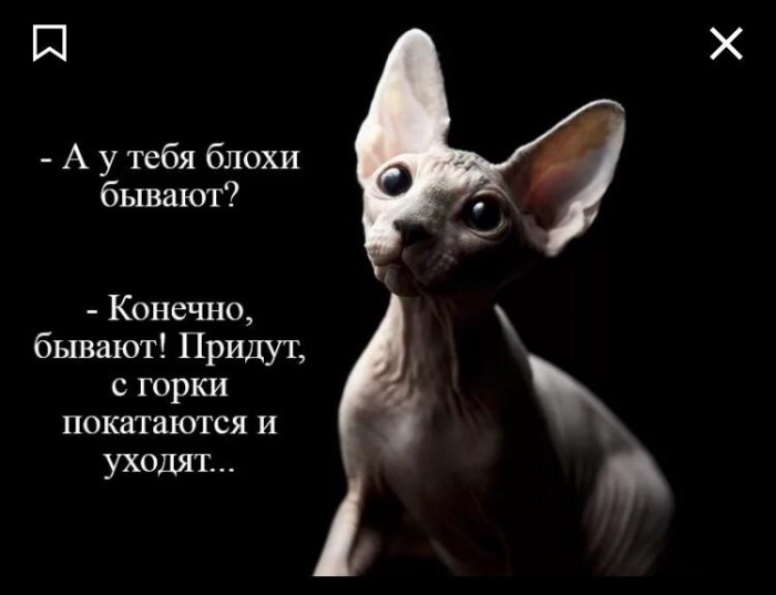 Этого зверюгу зовут Даша