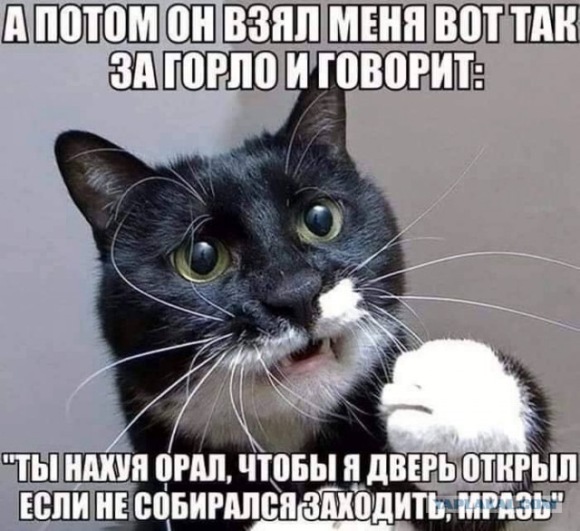 Немного картинок для настроения