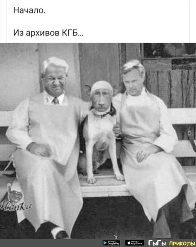 Бредзона в картинках 26.11.2019
