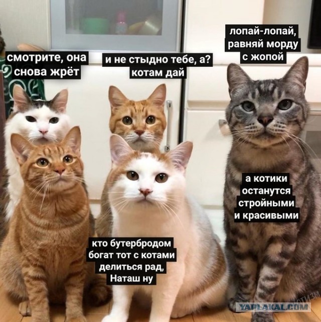 Бредзона 31.05.20