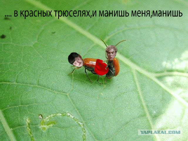 Он как бы нам машет?