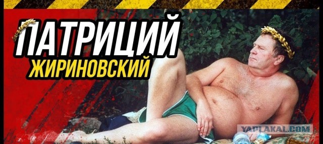 Жириновский заявил, что ЯПовцы дурачки