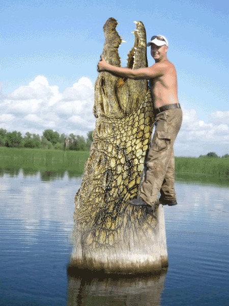 Фотожаба: На пеньке