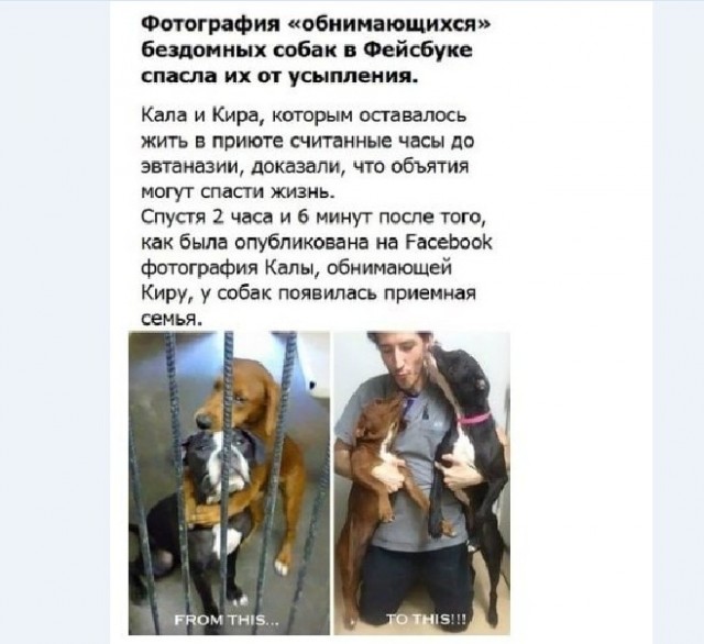 Картинки и мемы для настроения 014