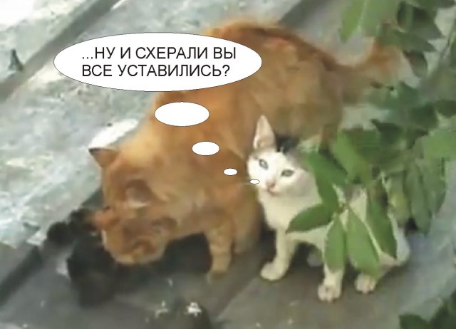 Групповуха