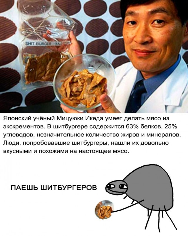Аморальная деградация