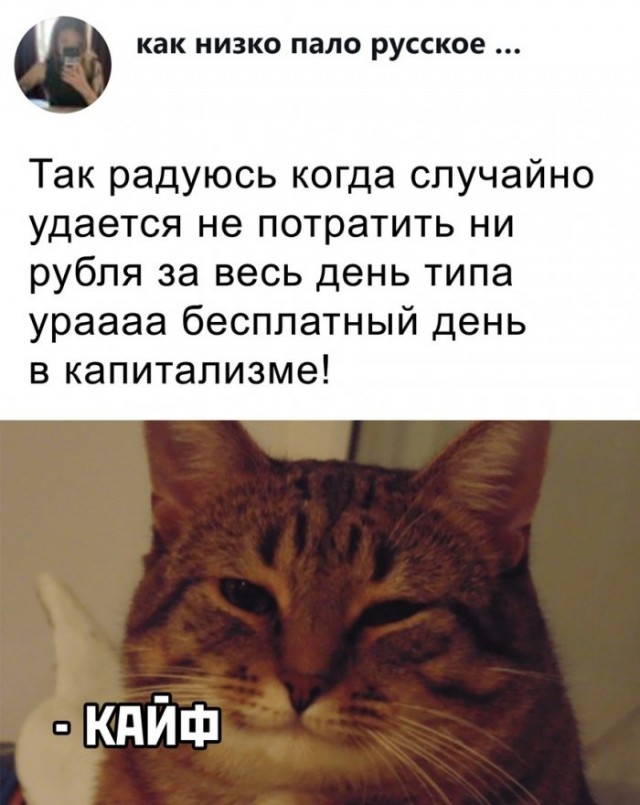 Всякие картинки