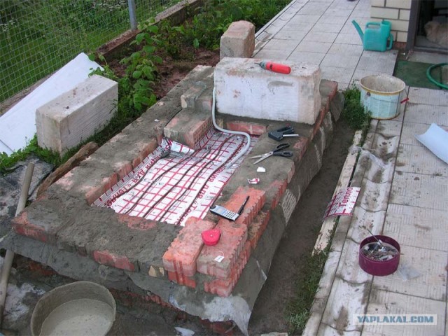 Выживание кота зимой