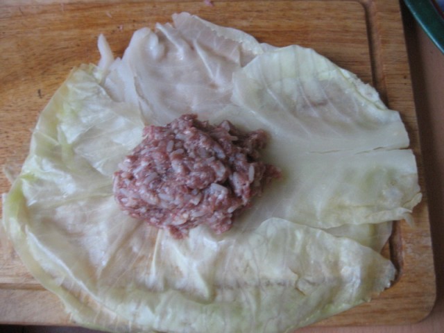 Капуста International, Наступила осень, отцвела капуста...