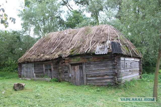 Заброшенные деревни. Уникальная деревня посреди болот