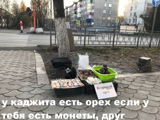 Так себе картинки 12.09.21