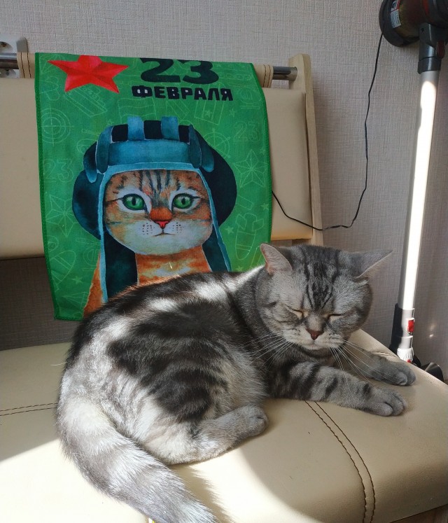 Котовторник 28.09.21