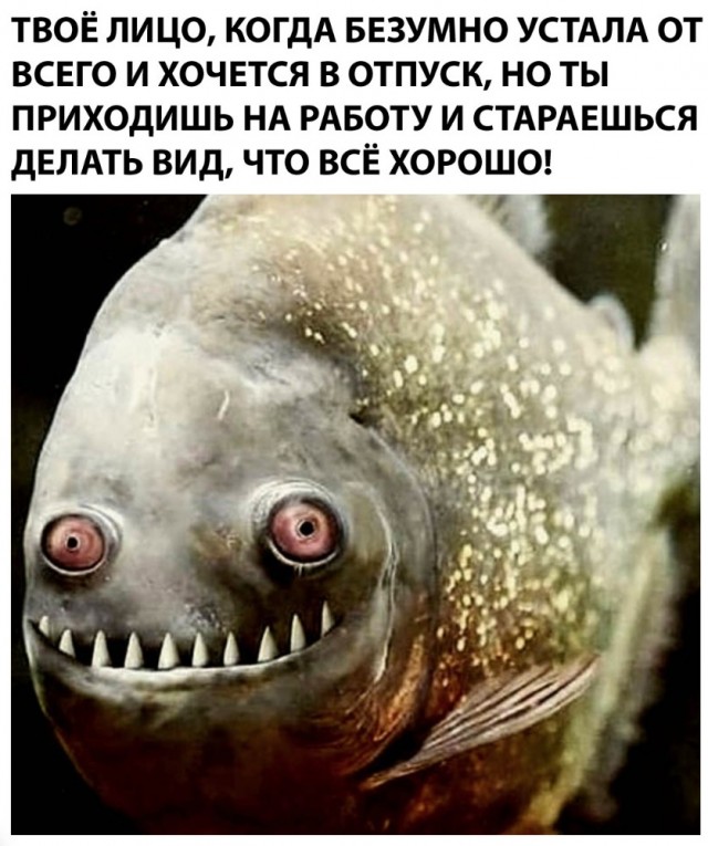 Рыбов, показываю. Красивое