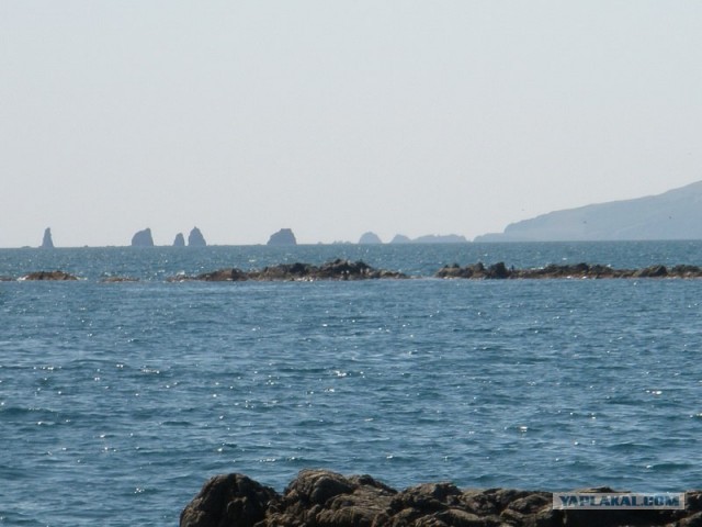 Поездка на побережье Яп.моря