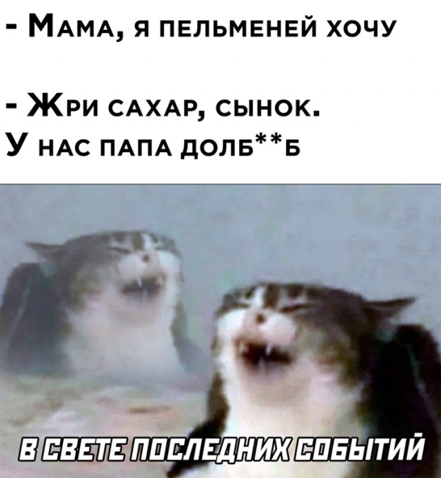 Весёлый полтишок 20.03.22