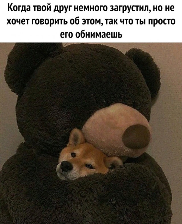 Картинки и мемы для настроения. Выходные близко...