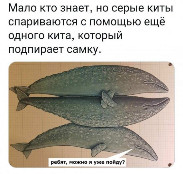 Картинки и мемы для настроения - 21