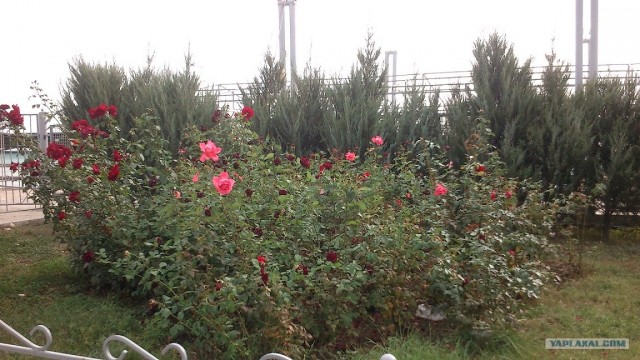 Осенний Коктебель