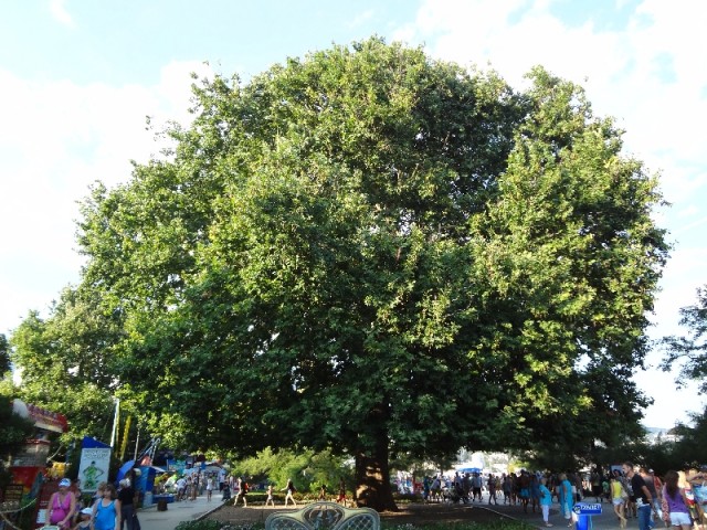 Впервые в Крыму