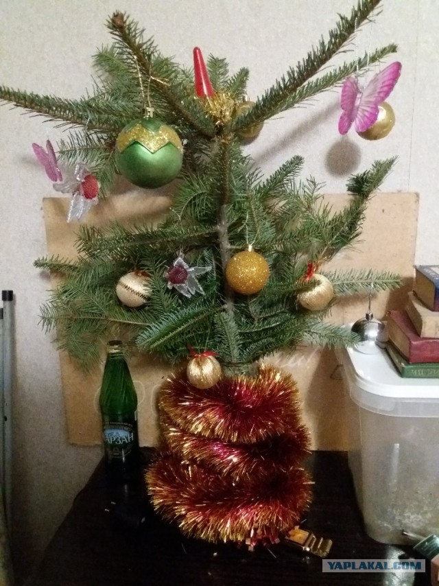 Выкладывайте свои елки!