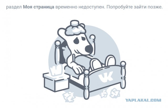 VK упал