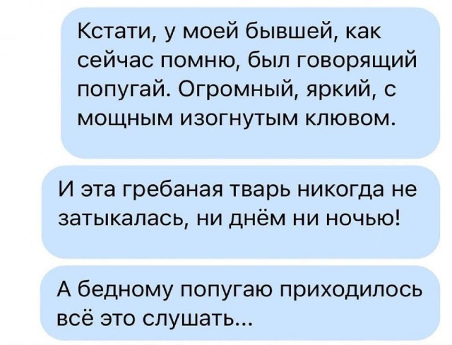 Забавные комментарии из социальных сетей 01.05.23